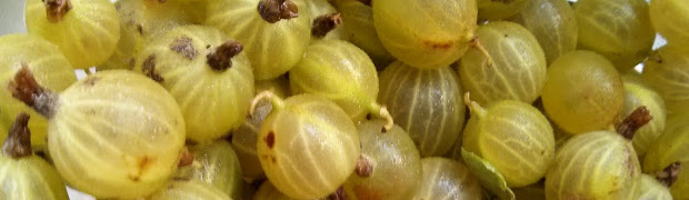 5. Spiced Gooseberry Chutney